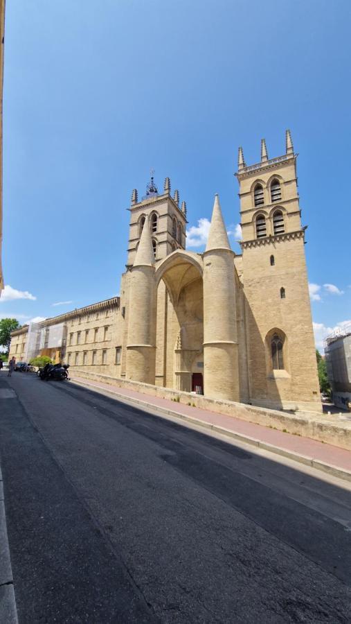 Le Petit Olivier En Coeur De Ville + Parking Incl. Montpellier Bagian luar foto