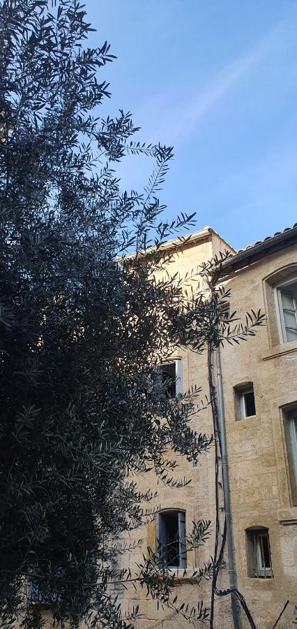 Le Petit Olivier En Coeur De Ville + Parking Incl. Montpellier Bagian luar foto